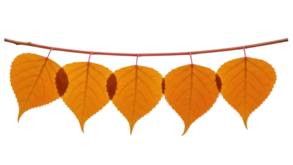 Isolated autumn leaves garland, colorful fall foliage decoration for season design concept