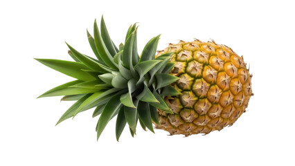 Isolated close-up of a whole pineapple, a tropical fruit with a spiky exterior & green leaves