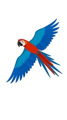 Obraz premium Colorful macaw in flight against white background
