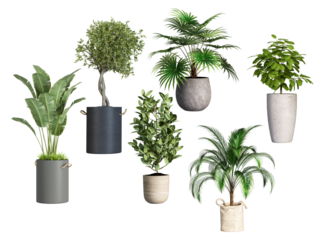 collection of seven diverse potted plants showcases a variety of textures, leaf structures, and planter styles against stark transparent background.