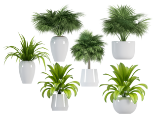 a vibrant photograph featuring a diverse array of potted green plants, creating a fresh and natural ambiance suitable for any blog or social media platform.