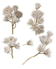 elegant photograph showcasing decorative white plants branches, creating a serene and sophisticated...