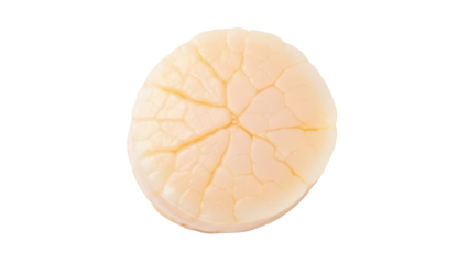 Isolated light tan scallop meat, uncooked and unseasoned, ready to prepare and serve