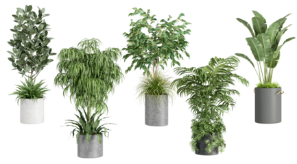 beautiful photograph presenting a collection of varied potted plants against a transparent background, offering a fresh and natural touch for design projects