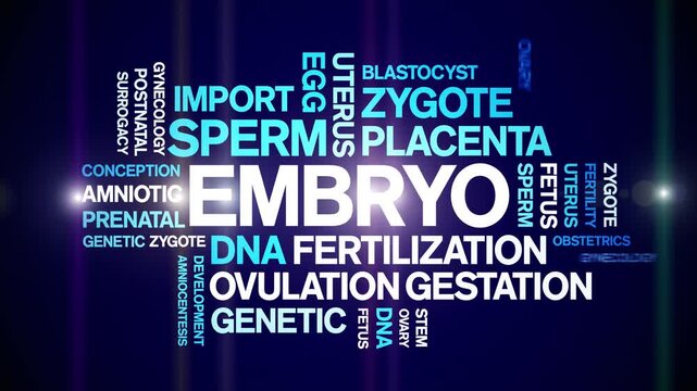 Embryo animated word cloud-text design animation tag kinetic typography seamless loop.