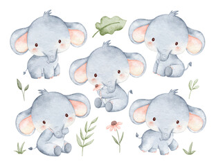 Watercolor Illustration Set of Baby Elephant and Tropical Leaves