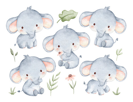 Watercolor Illustration Set of Baby Elephant and Tropical Leaves
