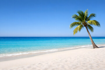 Obraz premium Tropical beach scene with palm tree and turquoise ocean under clear blue sky