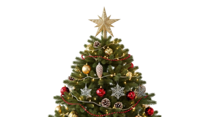 Beautifully decorated christmas tree with ornaments and star