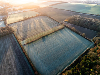 Aerial view of frost-kissed fields and dark forested edges bathed in the soft glow of a winter sunrise, Thames Valley, Oxfordshire, United Kingdom.