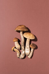 Mushrooms on brown background. Autumn harvest concept.