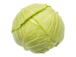 Fototapeta premium Isolated head of cabbage, green leafy vegetable, delicious food for healthy diet recipes