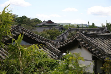 Obraz premium Traditional Hanok Village Roofs in Gyeongju, Korea