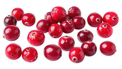 Pile of shiny, crimson red cranberries with small stems isolated against a black background