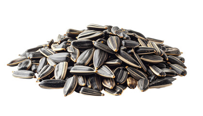 A mound of striped black sunflower seeds against a stark black background, lit from the front