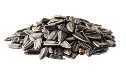 A mound of striped black sunflower seeds against a stark black background, lit from the front
