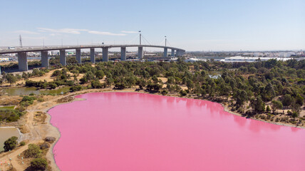 Aerial view of the vibrant Pink Lake contrasts dramatically with the green trees and the West Gate Bridge soaring above, Port Melbourne, Victoria, Australia.