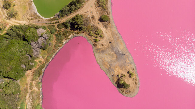 Aerial view of the vibrant Pink Lake's vivid pink waters contrasting with the green lake and the earthy tones of the surrounding land, Port Melbourne, Victoria, Australia.