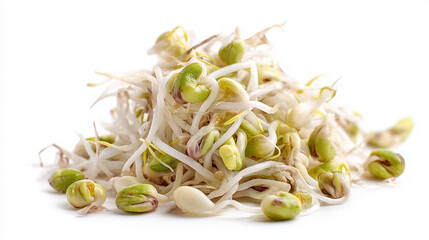 A bright pile of mung bean sprouts with white roots and green tips, perfect for salads, stir-fries, or sandwiches. Fresh, crunchy, and full of nutrition for a healthy, versatile menu.