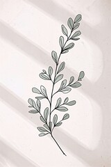 Vintage  style hand drawing illustration of Minimalist eucalyptus branch line drawing,  muted sage and beige palette