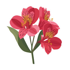 Obraz premium 2D flat vector illustration of Alstroemeria, clean and minimal icon style, isolated on white background.