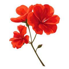 Flat 2D vector illustration of Geranium Flower, simple icon style on a clean white background.