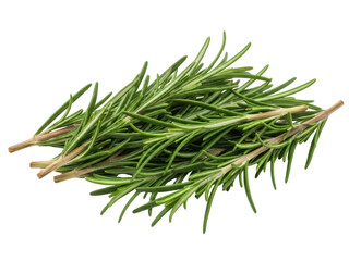 Isolated sprigs of fresh rosemary herb ready for cooking, food photography in studio