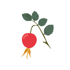 Dog Rose Hip in a clean 2D flat vector icon style, minimal and simple, set on a plain white background.