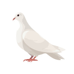 Fototapeta premium Modern flat 2D vector illustration of Dove, clean and minimal design, isolated on white background.