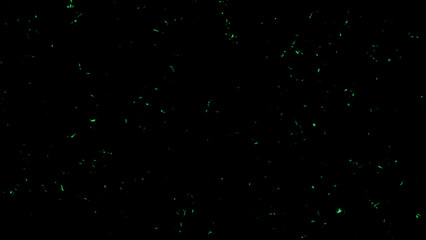 Perfect fire particles embers sparks on black background . Texture overlays.