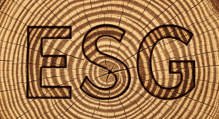 Natural wood background with ESG text for sustainable business reporting. Corporate governance principles for social and environmental responsibility and long term growth