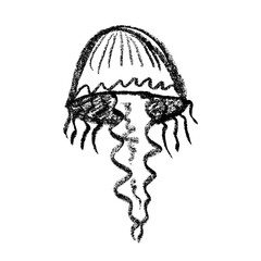 Hand drawn jellyfish doodle Sea animal illustration Cute marine underwater creature Medusa sketch clipart Single element for web, design, decor, children's print