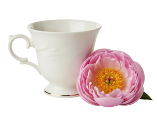 Isolated antique porcelain teacup and pink peony flower with a yellow center, spring arrangement