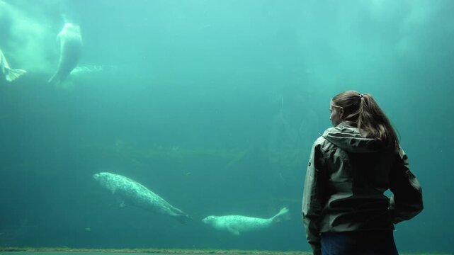 Blonde woman in jacket wathching swimming seals in water tank with glass window