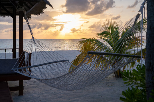 Hammock on a tropical beach, a symbol of relaxation and island life.