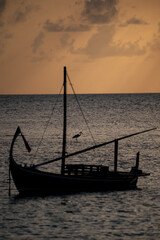 Traditional fishing boat at sunset on the Maldives with a reef heron bird on the background. 