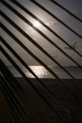 Palm leaves on a beach with the ocean and the shoreline in the background. 