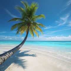 Paradise beach with palm tree and transparent ocean water
