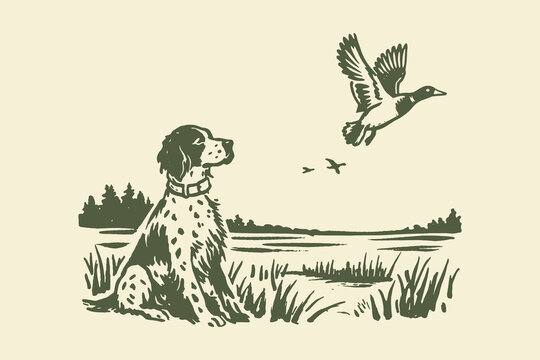 Hunting dog and duck vintage sketch vector illustration