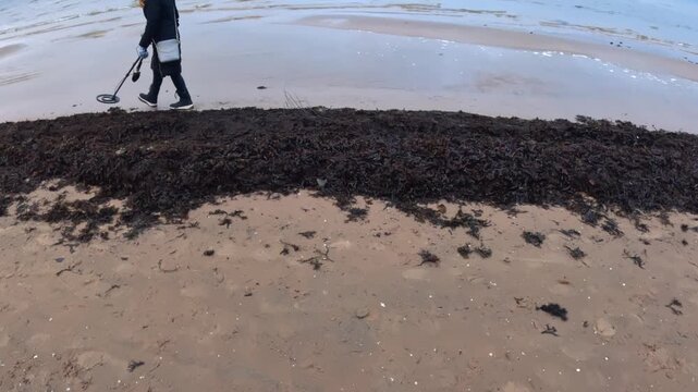 A person scans the shoreline with a metal detector beside a thick line of seaweed, searching for lost items along the wet sand of a quiet, overcast beach.