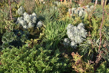 Jardin&nbsp;botanique&nbsp;en&nbsp;hiver