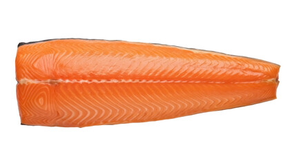 Isolated fresh uncooked salmon fillet, prepared food ingredient for healthy dietary lifestyle