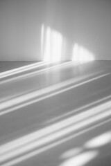 White light background abstract style vertical black and white backdrop.