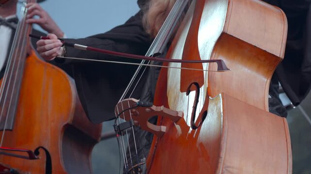 Performers Masterfully Control Bass And Strings During Ensemble Performances Across Environments . Media