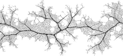 Black and white fractal branching pattern with organic cellular structure abstract background texture © appl