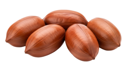 Isolated group of fresh pecan nuts ready to crack for use in pies and other desserts