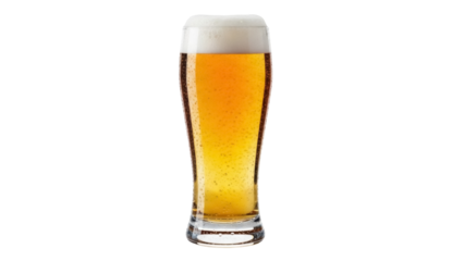 Isolated glass of light beer with frothy head ready to drink in bar on a sunny day party