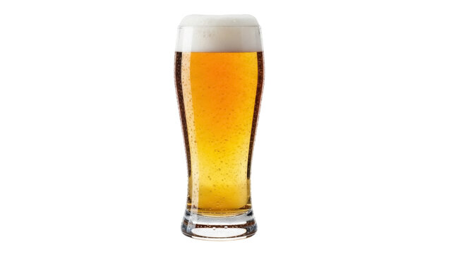 Isolated glass of light beer with frothy head ready to drink in bar on a sunny day party