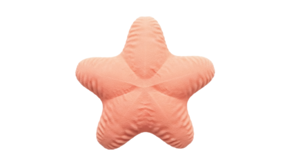 Isolated pink starfish pillow for sleeping or decoration, marine theme home accessory