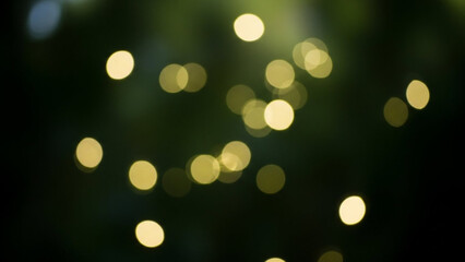 Bokeh Background Green Nature Light Gold Blur Abstract Forest Dark Texture